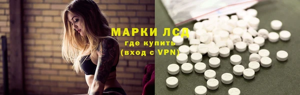 сатива Алзамай