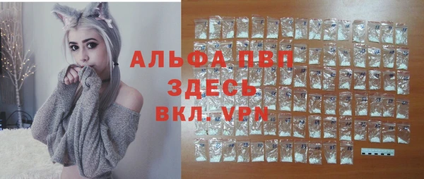 стафф Алексин