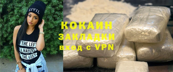 стафф Алексин