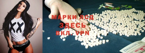 сатива Алзамай