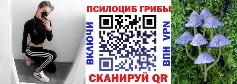 Галлюциногенные грибы Magic Shrooms  даркнет сайт  Кольчугино 