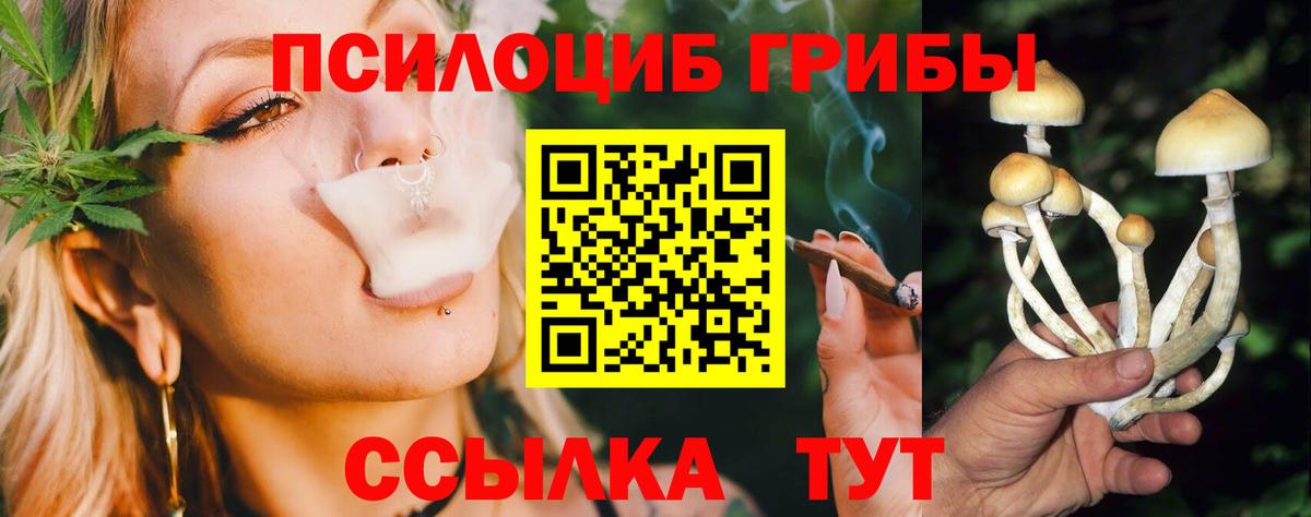 Псилоцибиновые грибы MAGIC MUSHROOMS  Вход с VPN  Кольчугино 